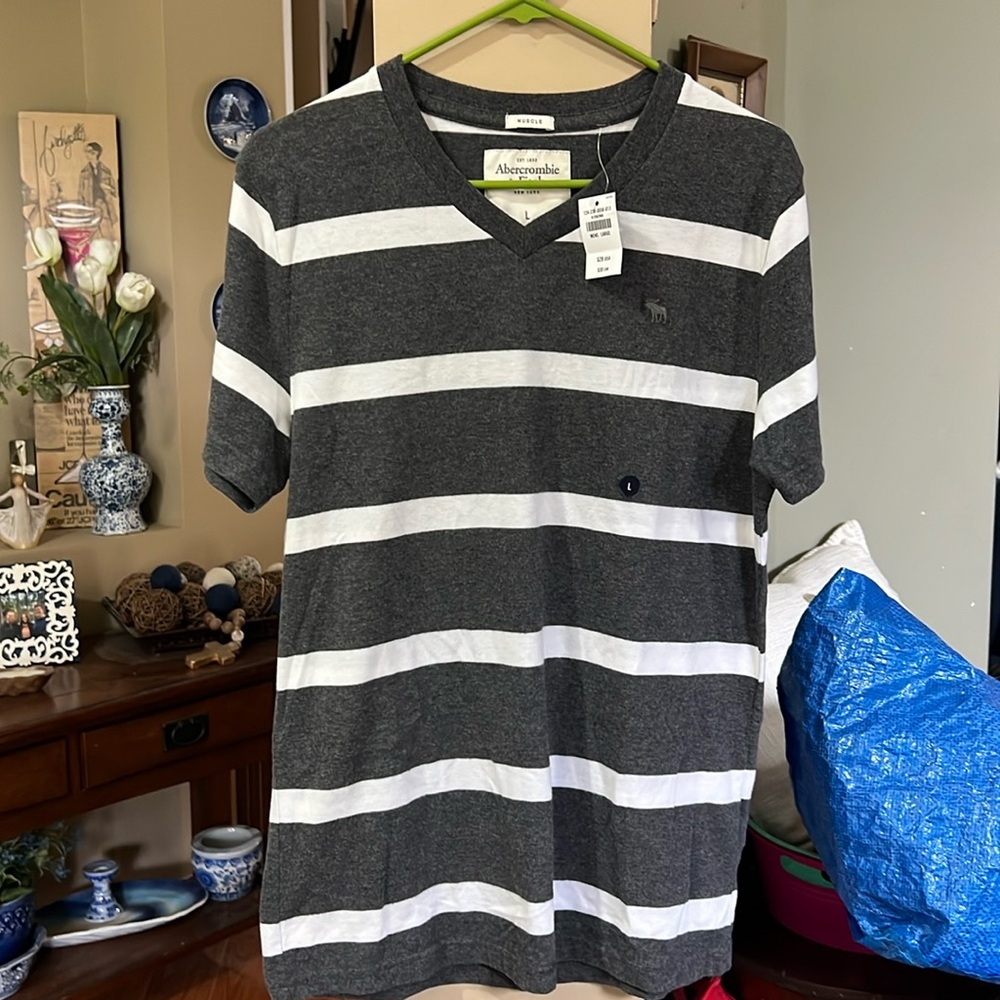 NWT ABERCROMBIE AND FITCH T SHIRT